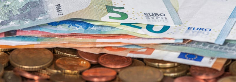 Ingreso mínimo vital - Dinero en euros