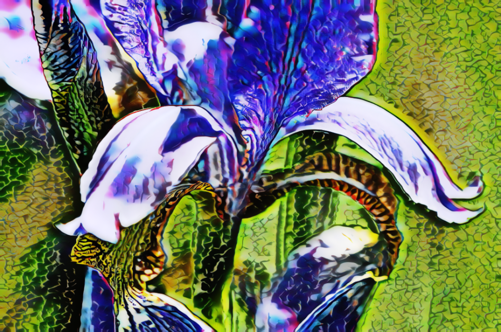 TLA_3074aa1