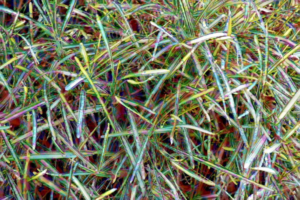 TLA_3511a