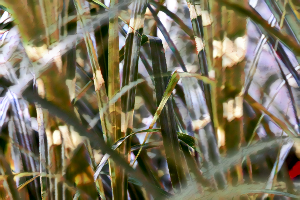 TLA_9008a