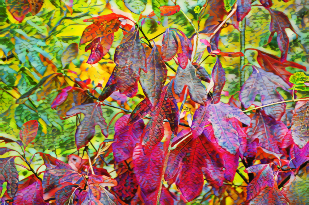 TLA_0149a