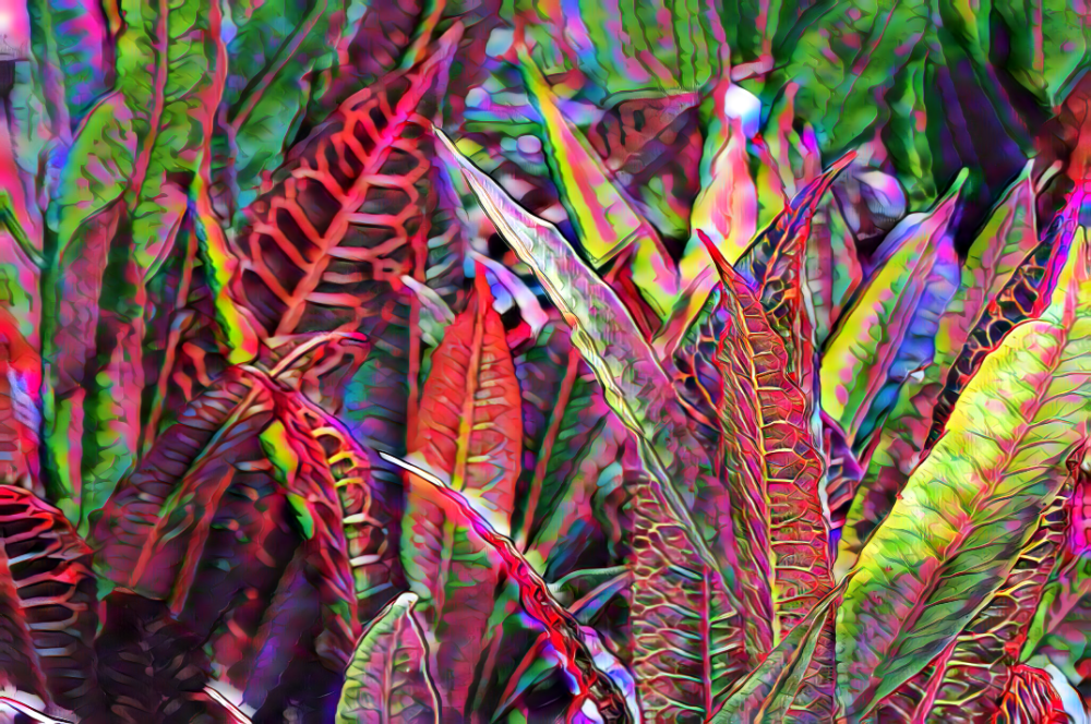 TLA_2879a