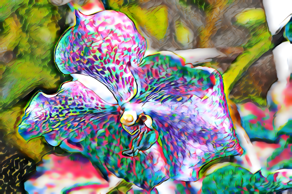 TLA_2168a