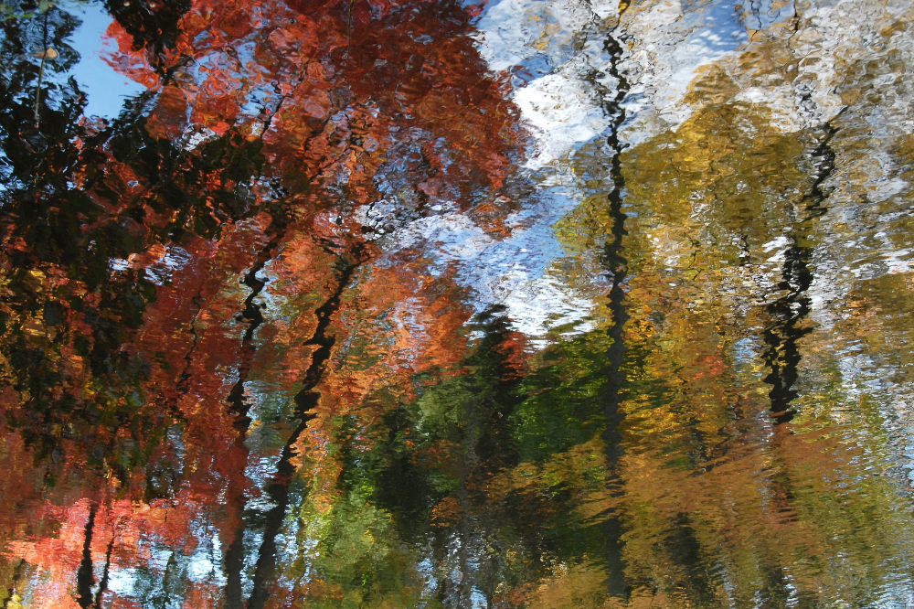 Reflections0234a