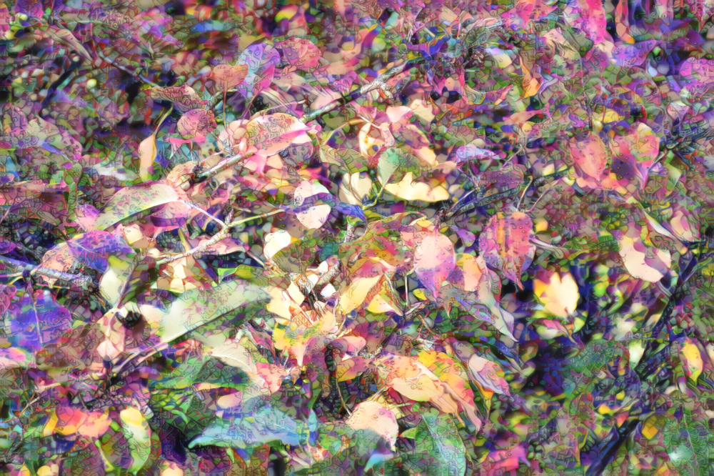 TLA_1224a
