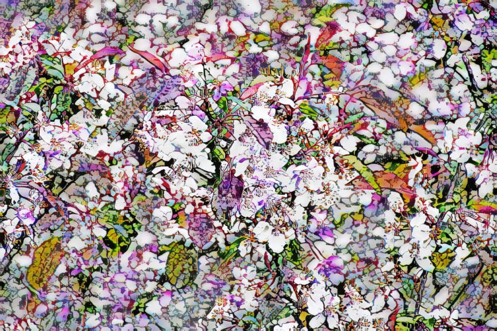 TLA_5978a