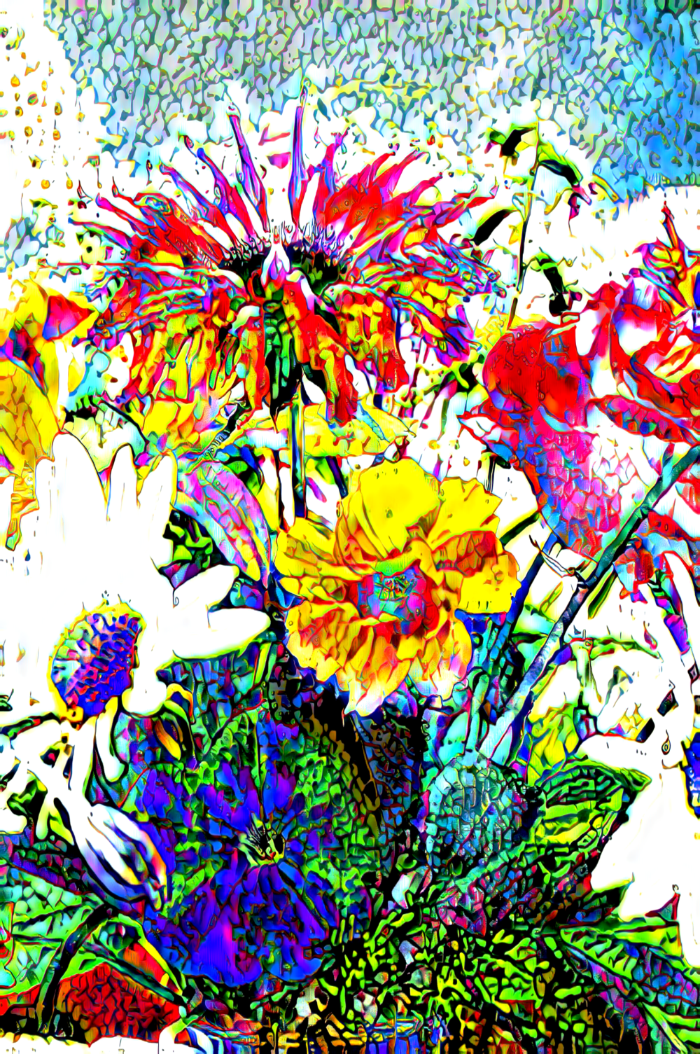 TLA_6290ca