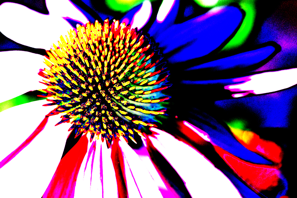 TLA_2626c