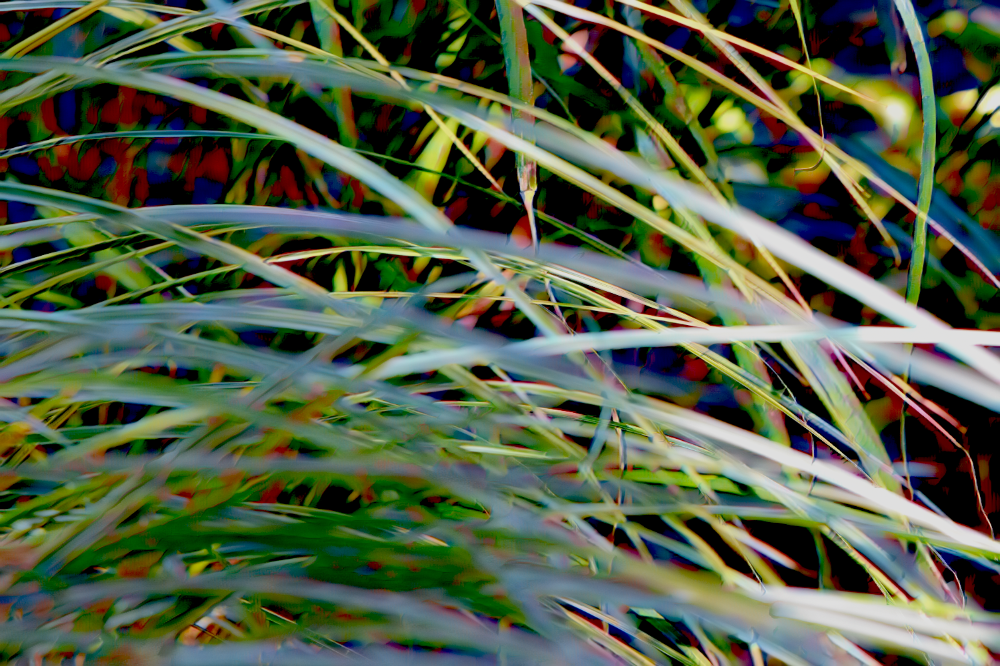 TLA_8127a