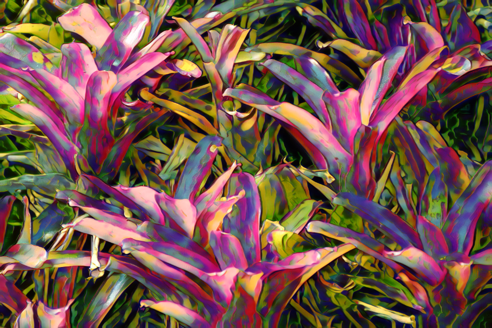 TLA_0291a