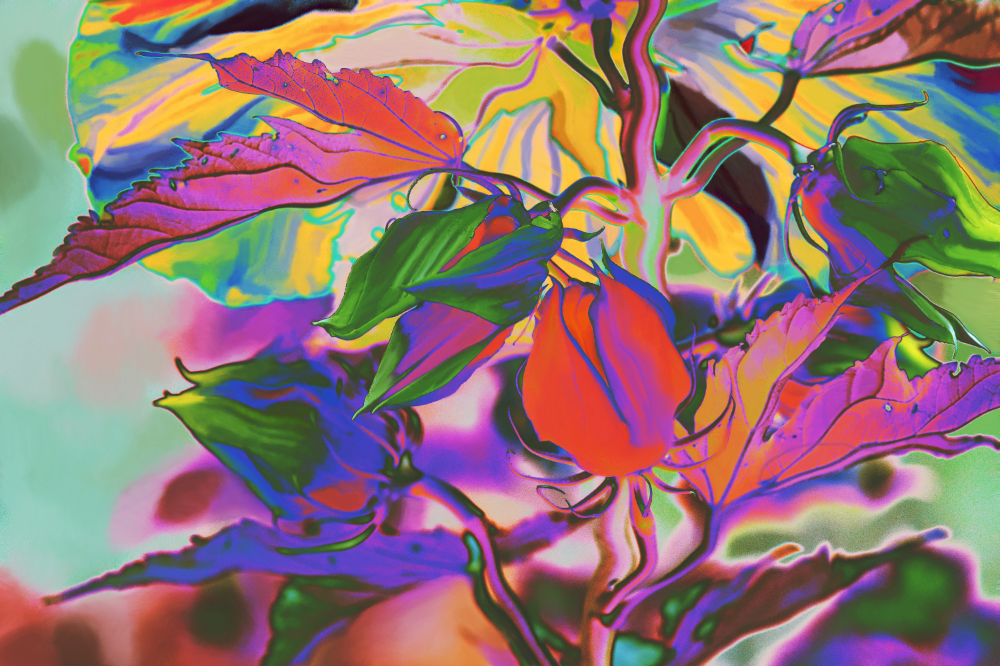 TLA_3090ap2a