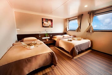 Blue Manta Liveaboard Indonesia main deck cabin