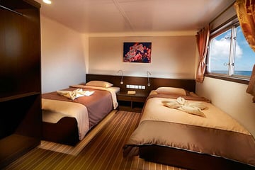 Blue Manta Liveaboard Indonesia upper deck cabin