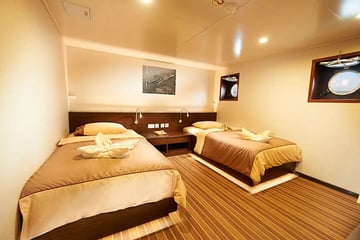 Blue Manta Liveaboard Indonesia lower deck cabin