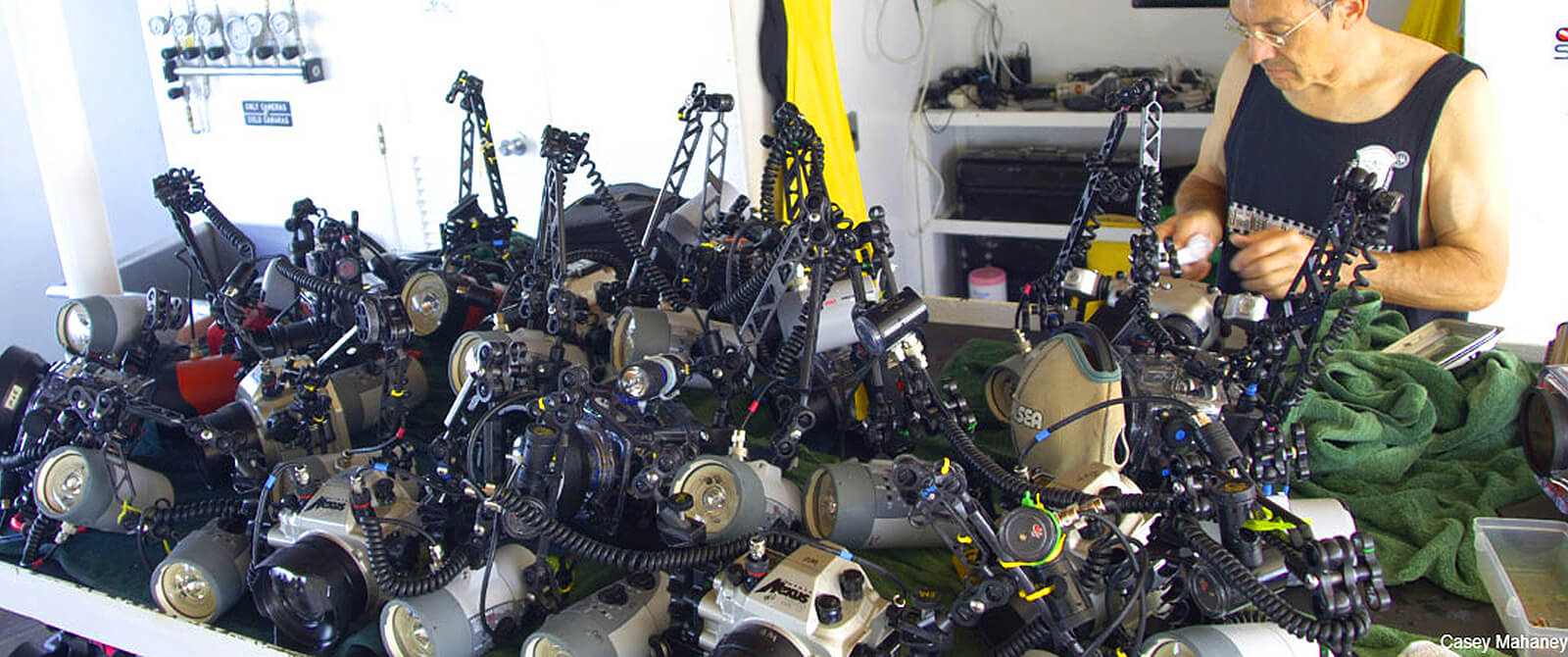 Groups and Charters liveaboard scuba diving vacations