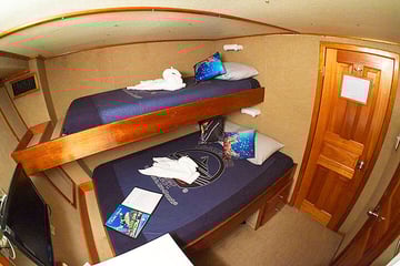 Belize Aggressor III liveaboard Deluxe Stateroom - Double and Singles
