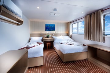 White Manta Liveaboard Indonesia lower deck cabins