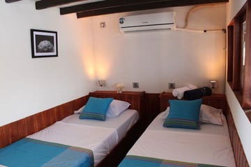 Pearl of Papua liveaboard Trevally Deluxe Twin Cabin