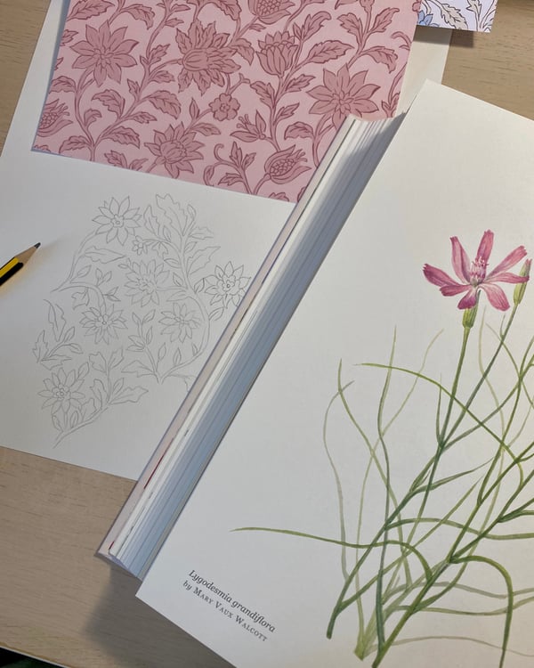 Elise Verfaille creating patterns - 4