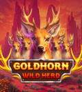 Goldhorn Wild Herd