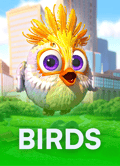 Birds