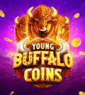 Young Buffalo Coins