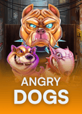 Angry Dogs