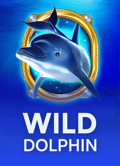 Wild Dolphin