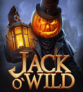 Jack O'Wild