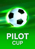 Pilot Cup