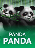 Panda Panda