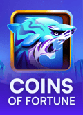 Coins Of Fortune