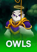 Owls