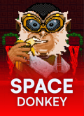 Space Donkey