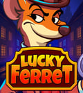 Lucky Ferret