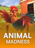Animal Madness