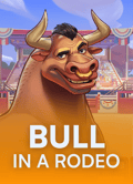 Bull in a Rodeo