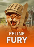 Feline Fury