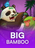 Big Bamboo