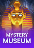 Mystery Museum