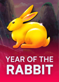 Year Of The Rabbit