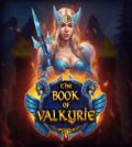 The Book of Valkyrie