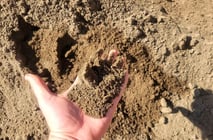 Arena rubia de lampa con despacho a la obra