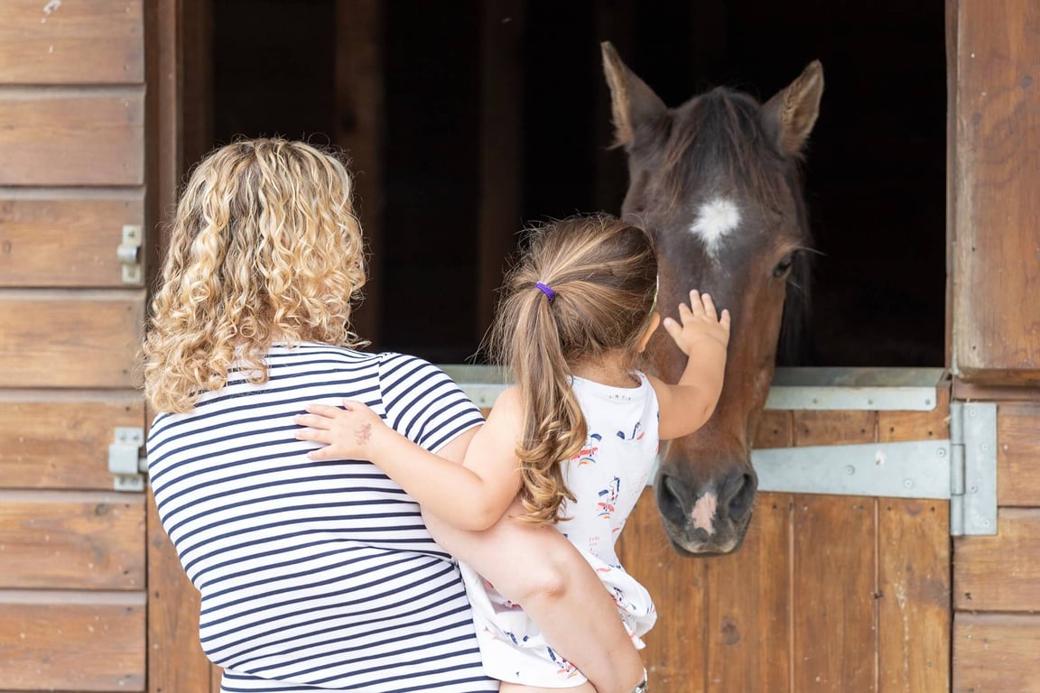 London For Toddlers: Hopefield Animal Sanctuary