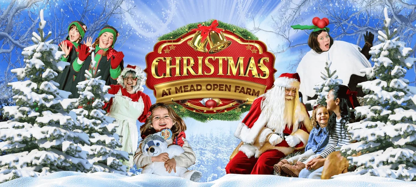 London For Toddlers: Christmas at Mead Open Farm