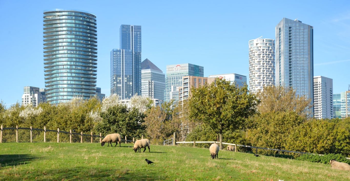London For Toddlers: Mudchute Farm