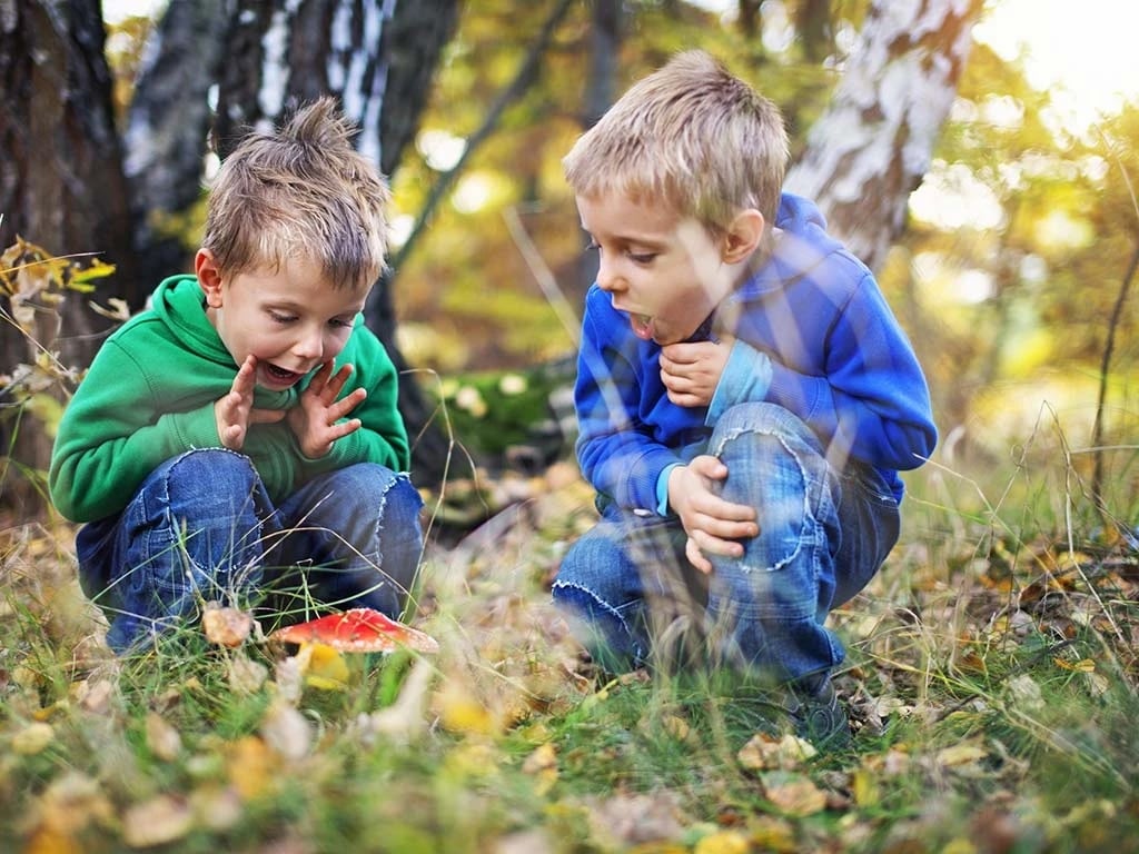 London For Toddlers: October Half Term Activities