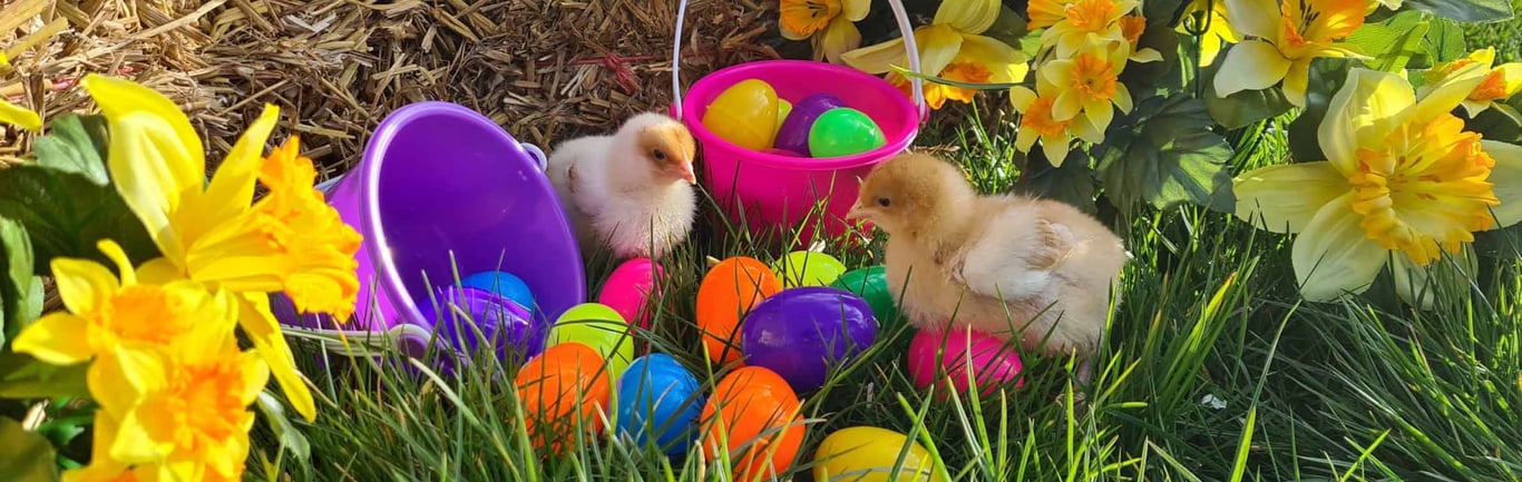 London For Toddlers: Easter Eggstravaganza