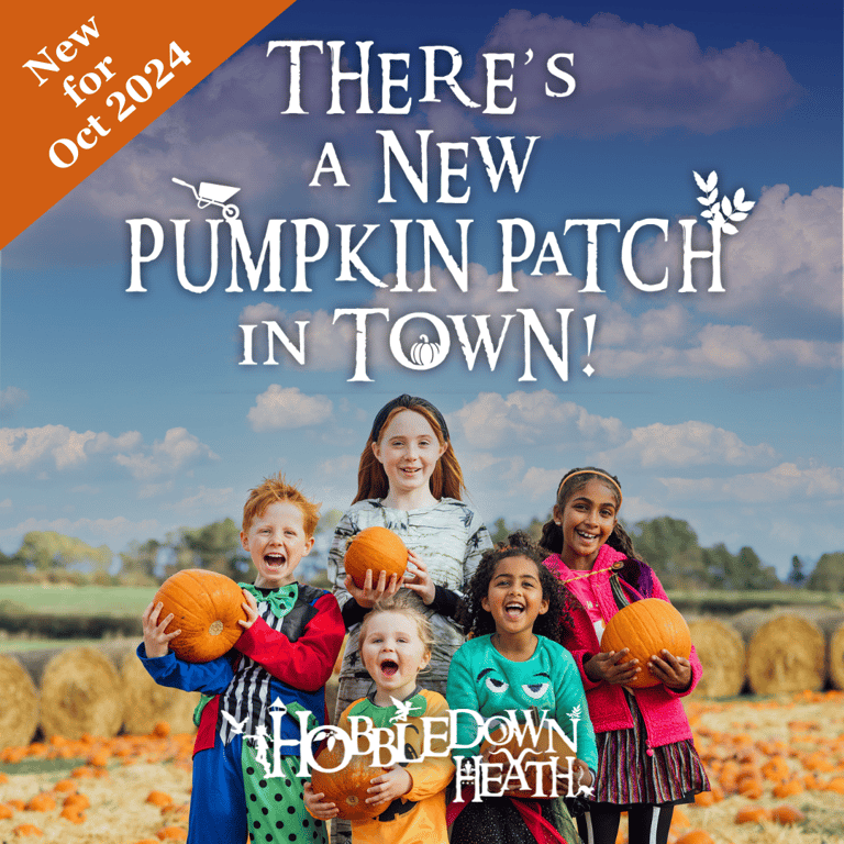 London For Toddlers: HOBBLEDOWN HEATH'S NEW PUMPKIN PATCH