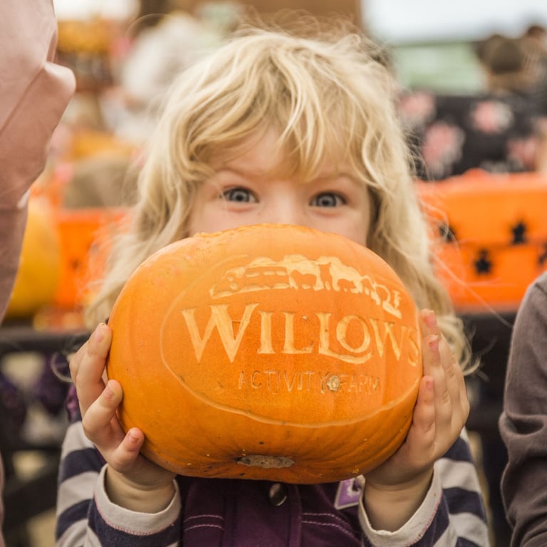 London For Toddlers: Pumpkin Festival
